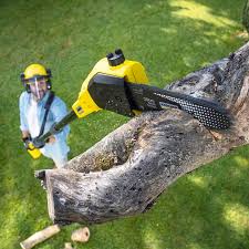 Best Lawn Mowing Services  in Homosassa Springs, FL